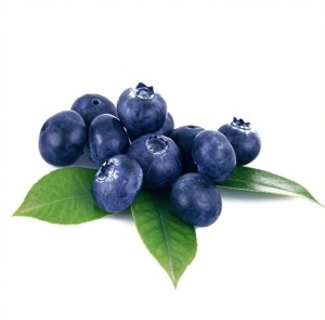 Amerykańska borówka Amerykańska borówka