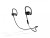 Beats Powerbeats2 Wireless