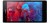Sony Xperia Z